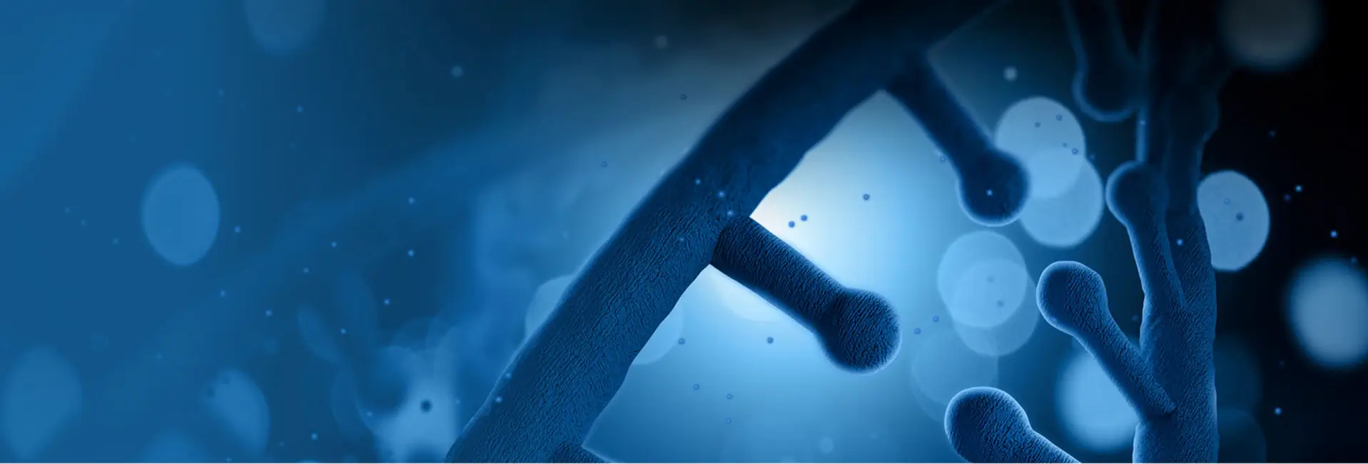 mRNA Vaccine Bioanalysis Platform